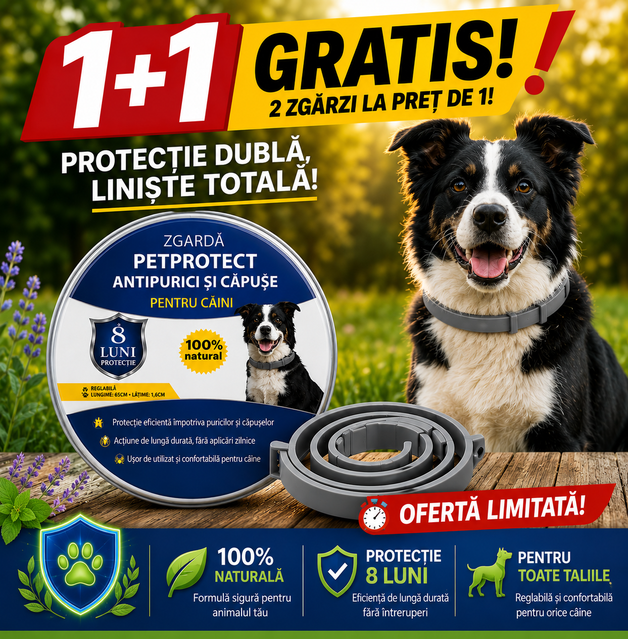 ZGARDĂ PETPROTECT ANTIPURICI ȘI CĂPUȘE PENTRU CÂINI